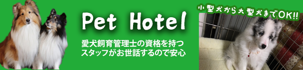 ペットホテル